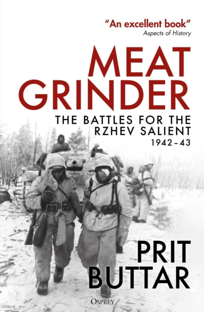 Meat Grinder: The Battles for the Rzhev Salient